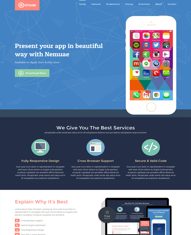 Nemuae - Responsive Flat Design Website Landing Page Template