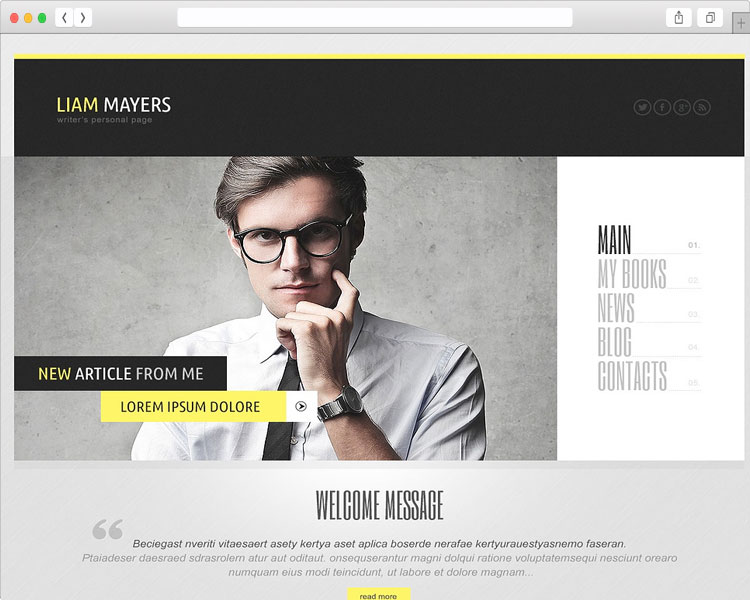Liam Mayers - Writer's WordPress Personal Page and CV Theme