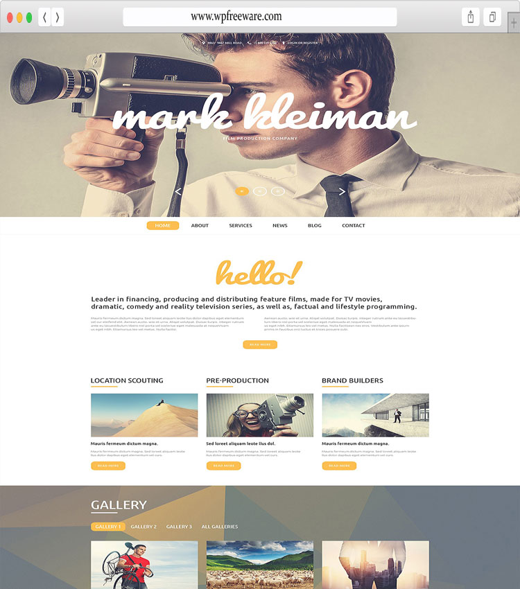 Mark Kleiman - A Template for Film Production Industries