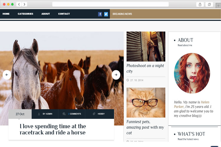 SAAB – Stylish Magazine/Blog WordPress Theme