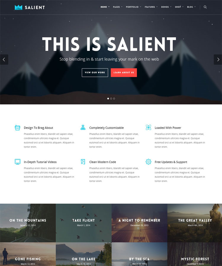 SALIENT - Responsive Multipurpose Parallax Theme