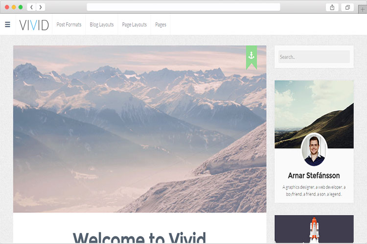 Vivid - Easy Customizable Responsive Personal Blog Theme