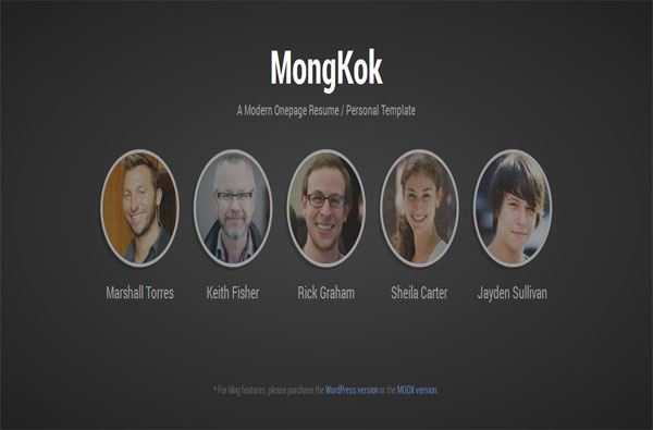 MongKok - Modern Onepage Resume / Personal Web Theme