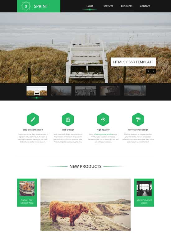 Sprint - Free Business Bootstrap html Responsive template