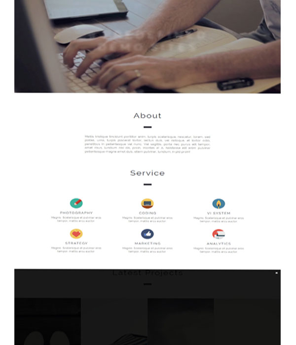 Bauer&CO – Bootstrap Pest Control HTML5 Template