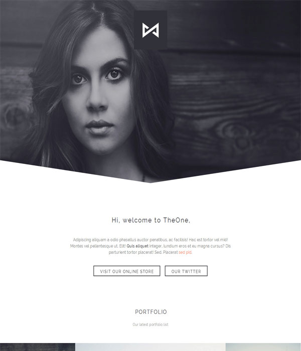 THEONE - Single Page Parallax Effect Responsive HTML Template