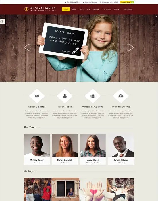Alms -e WordPress Church & NGO Responsive Theme
