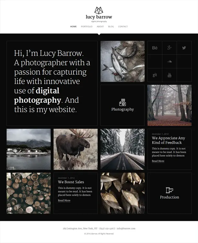Barrow – Modern Retina-Ready WP Photography Portfolio Theme