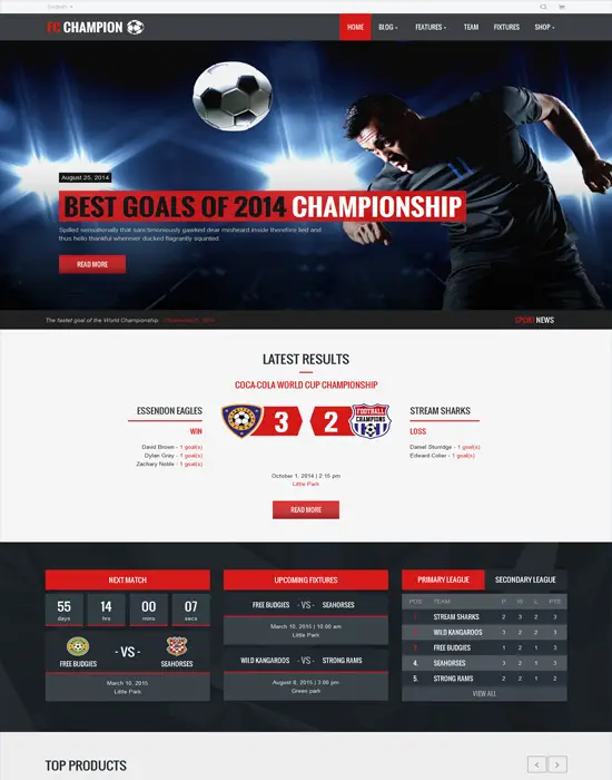 Champion - Soccer & Football WordPress gaming themes