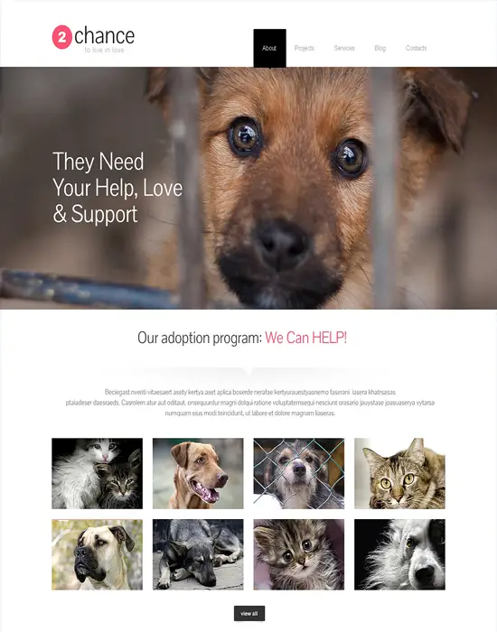 Chance- Animal Pet WordPress Theme