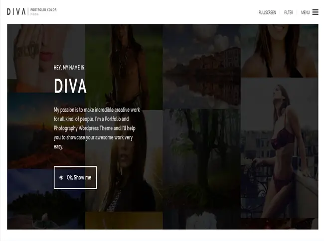 DIVA - Fabulous Photography WordPress Responsive Theme