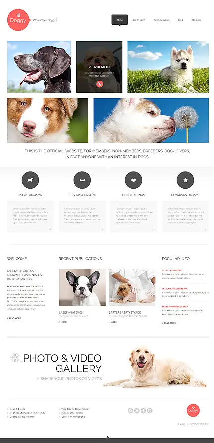Doggy - WordPress Responsive Pets Theme