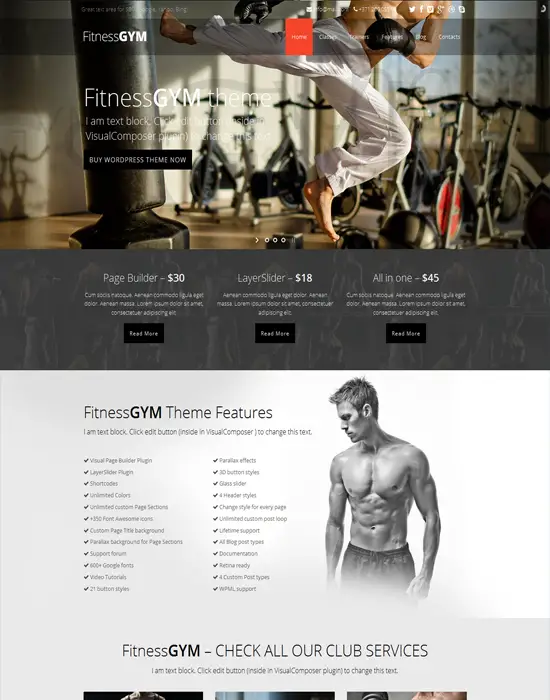 FitnessGYM - WordPress Sport/Fitness Responsive Theme
