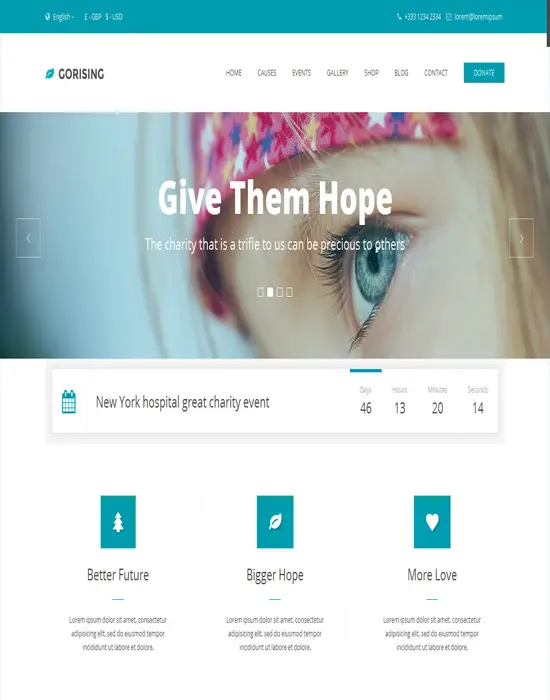 GoRising - Charity Non-Profit Fundraising WordPress Theme