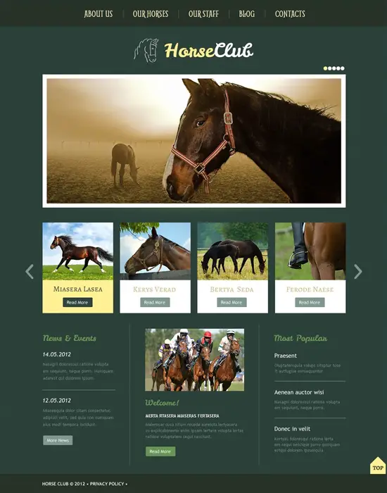 Horse-Animals Responsive WordPress Theme