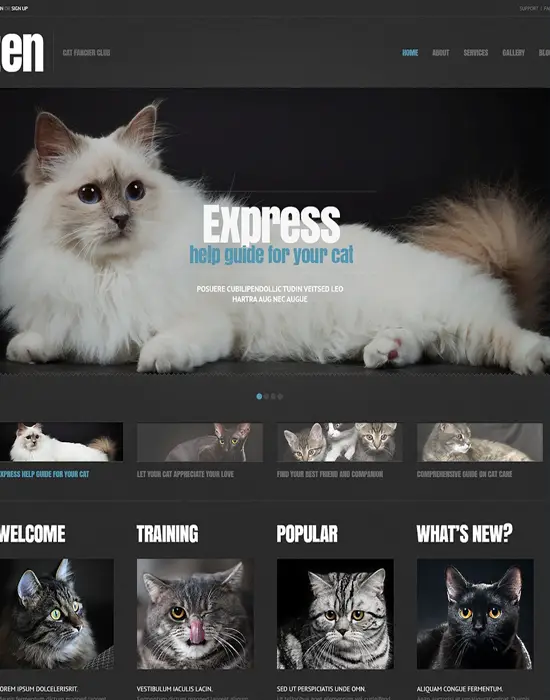 Kitten Cat- Responsive WordPress Theme
