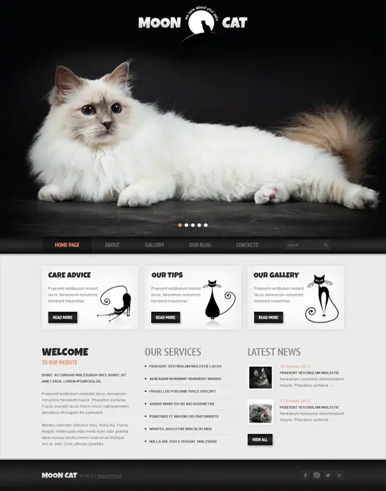 MoonCat -WordPress Theme