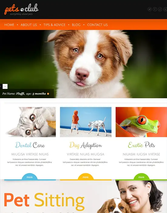 Pets Club-WordPress Animals Responsive Theme