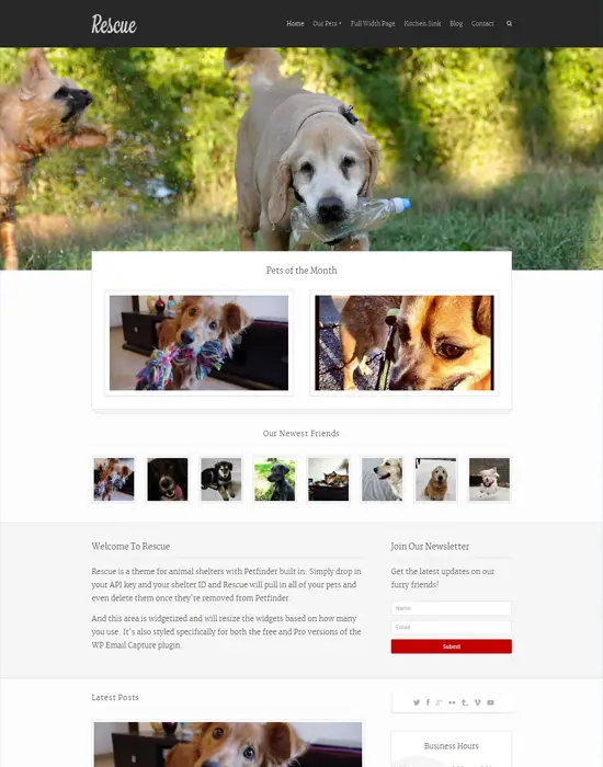 Rescue - Petfinder and Animal Shelter Theme