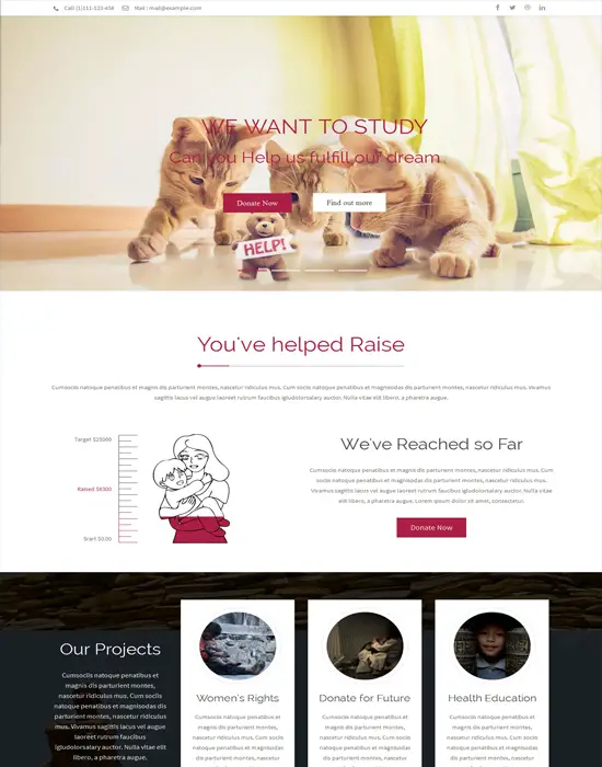 Rise - NGO and Charity Responsive WordPress Theme with page builder