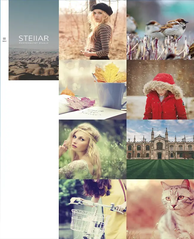 Stellar Responsive Creative and Photography WordPress Theme
