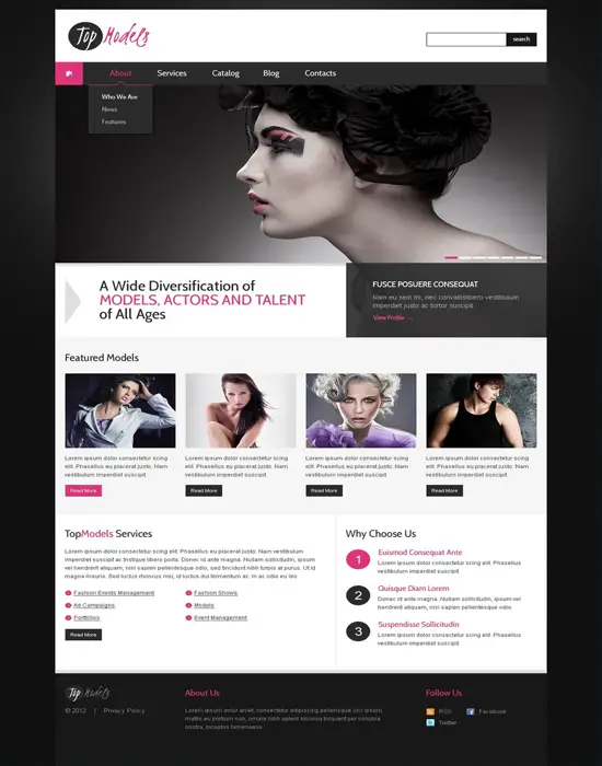 Top Models - WordPress Stylish Modeling Theme