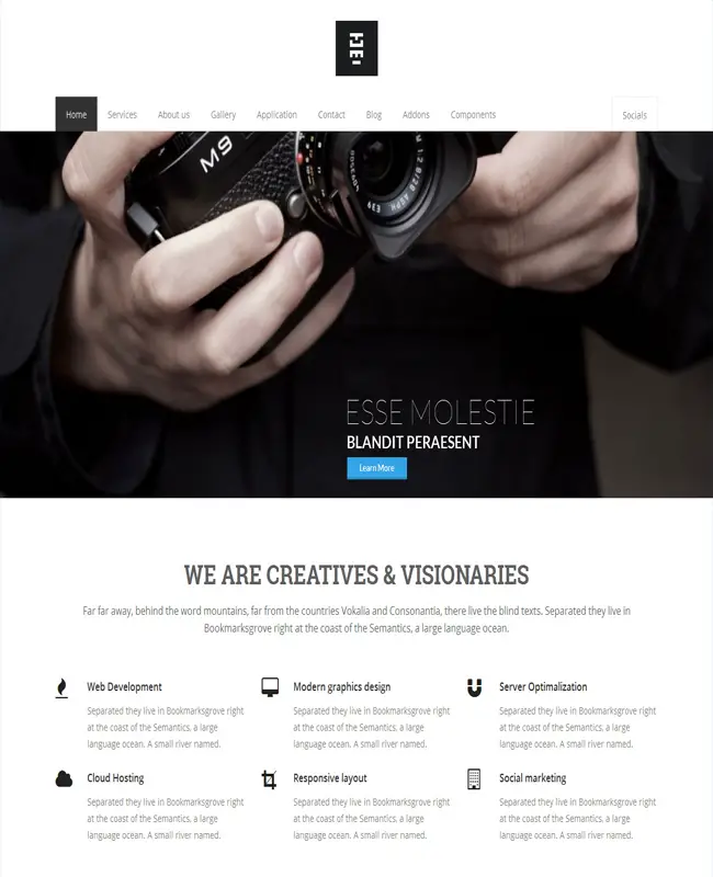 Totemic -Retina Ready Responsive Business WordPress Theme