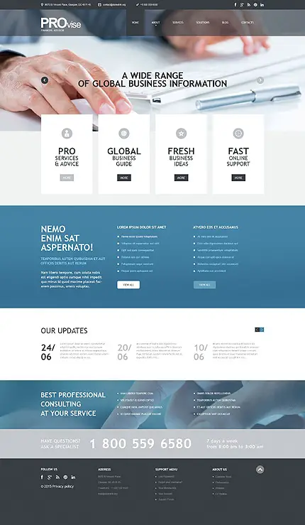 Financial Consultant WordPress Template