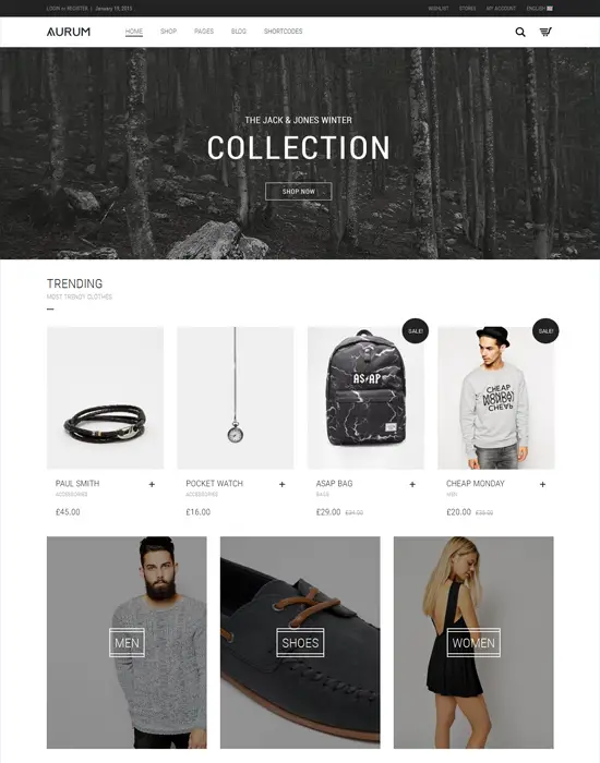 Aurum - WordPress E-Commerce Minimalist Shopping Theme