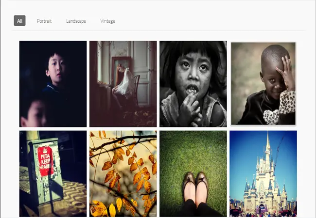 Elastic Grid - Responsive JQuery Portfolio filter Plugin