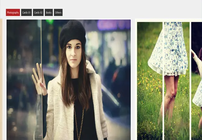 Multiple Scroll - jQuery Portfolio Gallery view Plugin