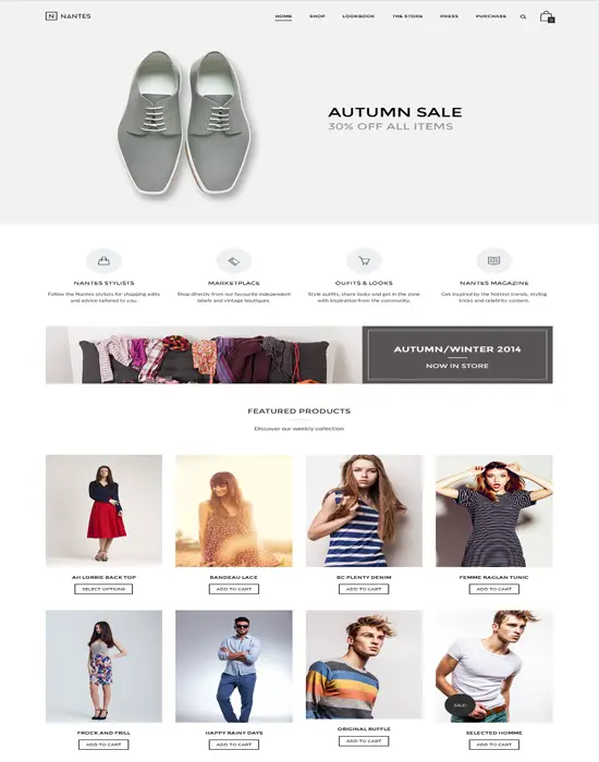 Nantes - Creative Ecommerce & Corporate Responsive Theme