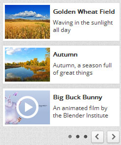 Amazing Carousel - Responsive jQuery Vertical Carousel Slider