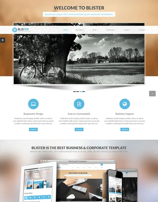 BLISTER Clean and Business Site Template