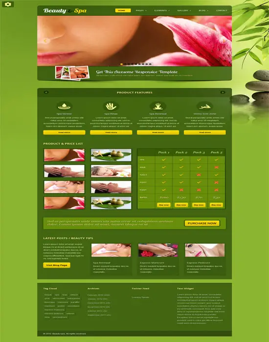 Beauty-spa - Responsive website template