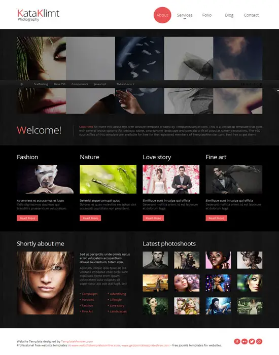 Bootstrap Free Responsive Template - Photography