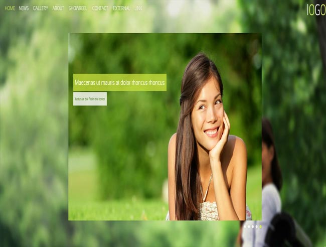Colorful - XML Flash Website Template
