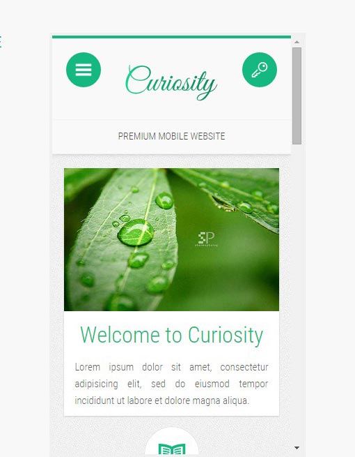 Curiosity - Responsive Premium Mobile Template