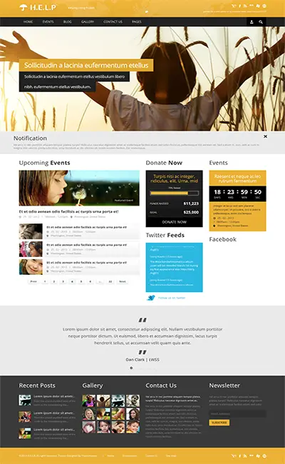 HELP - NGO HTML Template