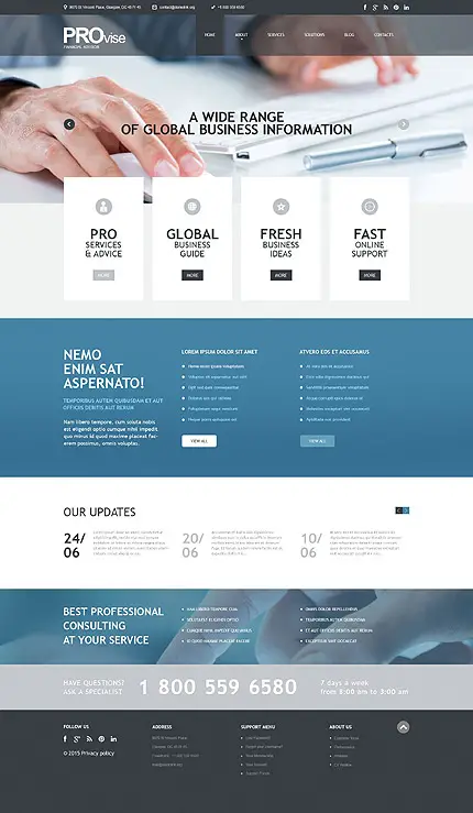 Business Consultant WordPress Website