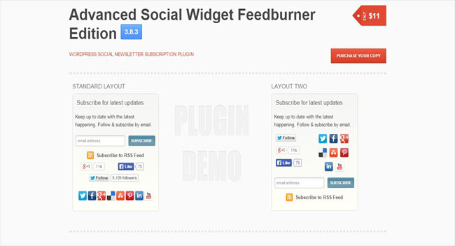 Advanced Social Widget – WordPress social network Sidebar Widget Plugin