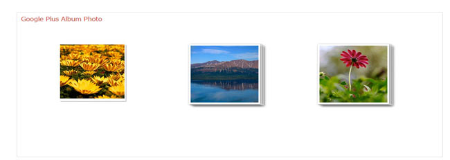 GooglePlus Album - jQuery as like Google Plus effect image hover