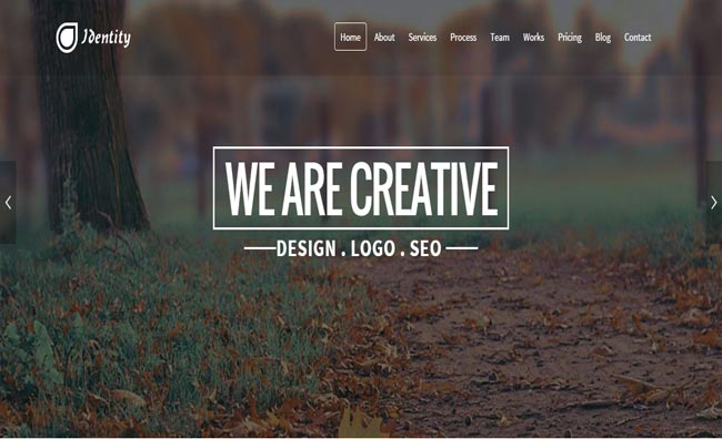 Identity - Parallax Effect Multipurpose Responsive Web Template