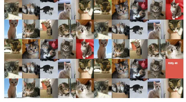 Kitty Hover - Simple cool image hover animation with jquery