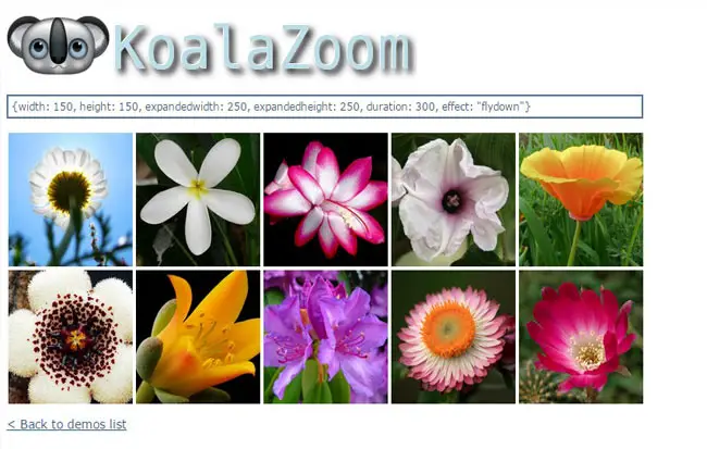 KoalaZoom - On Mouse zooming image jQuery effect