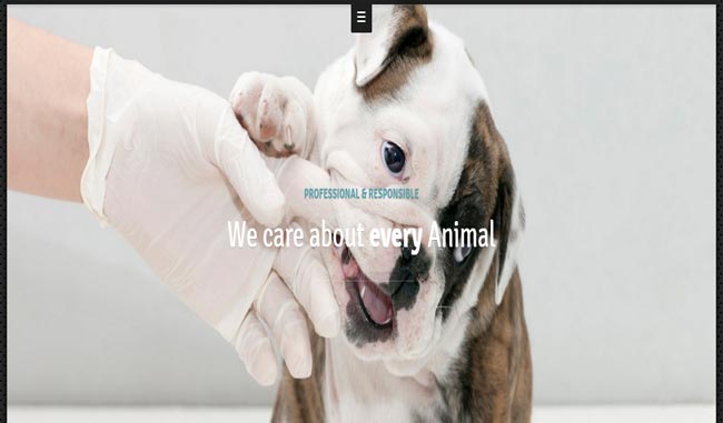 Loriette - HTML5 MultiPurpose Modern Web Template