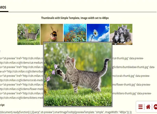Smart Image - Tooltip Plugin with image thumbnail 