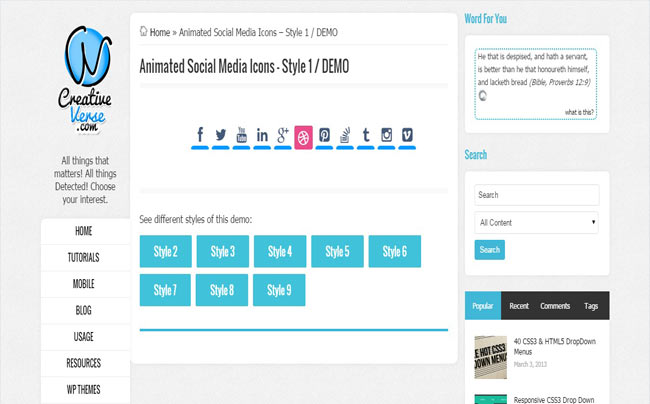 SocialMedia - Special Animated Social Sharing Icons with 7 Styles