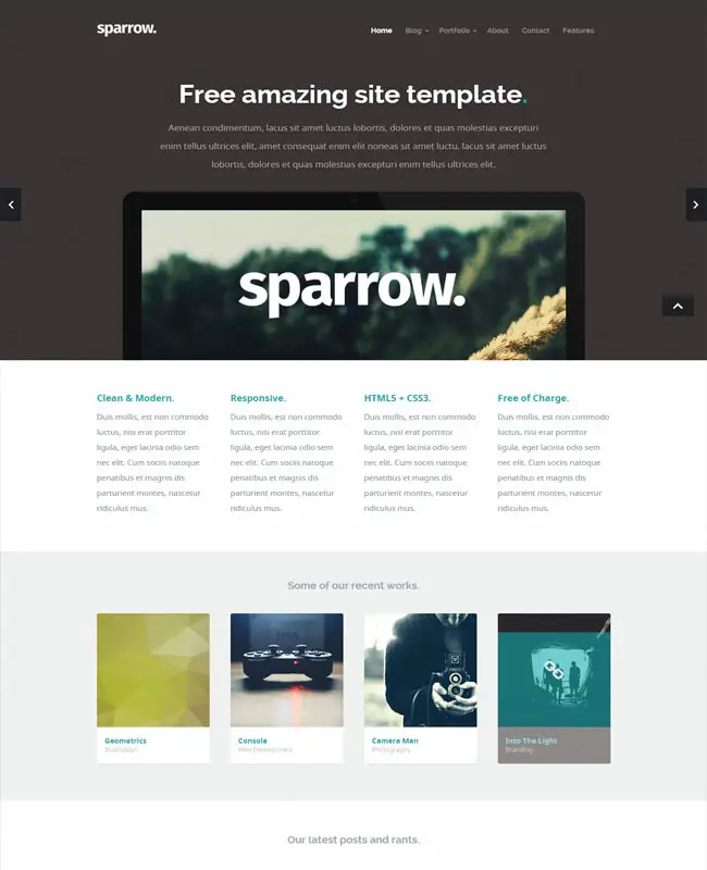 Sparrow - Clean Free Modern Template Html5 Css3