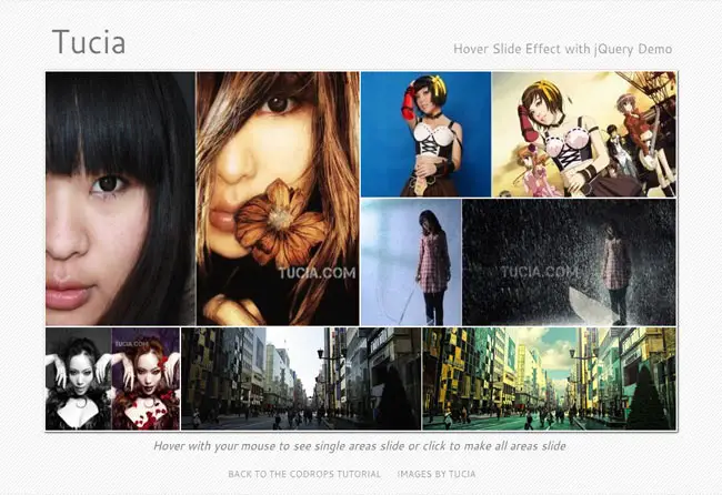 Tucia - Image Hover Slide Effect with jQuery